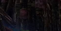 《雾锁王国》游戏多人游玩打龙需要注意什么