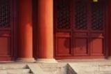 新能源汽车世界冠军|比亚迪携全品牌矩阵亮相2024 ChinaJoy N3馆
