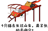 谐音梗挑战第8关攻略  4只猫去坐过山车最紧张的是哪只