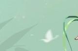 青青河畔意 悠悠草精情 换上《天下》手游新时装一起出游吧~