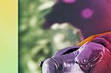 令和骑士第六作《假面骑士GAVV》公布 预计9月开播