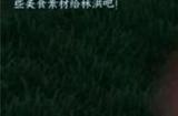 逆水寒死灰欲燃奇遇怎么完成 死灰欲燃奇遇完成攻略