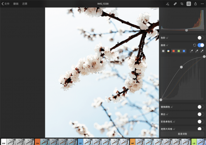 应用日推荐 专业级修图工具《Pixelmator Photo》