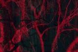 Remedy《心灵杀手2》实体豪华版将于10月22日发售