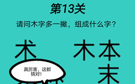 脑洞贼大第13关攻略  木字多一撇组成什么字