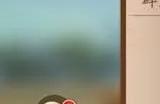 少年三国志2赤金张郃阵容怎么玩