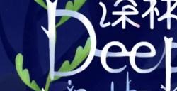 《深林》聆听一段栩栩如生的奇幻童话