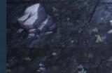 逆弹幕射击游戏《Seed of Heroes》Steam页面 2024年9月发售