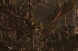 《堕落之主》开发商盛赞虚幻5是一个巨大的技术飞跃 主机支持2K/30FPS