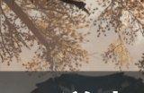 《逆水寒手游》挚缘情缘可以重叠吗 挚缘情缘介绍