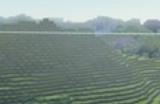 《Cubic Odyssey》游戏下载网址介绍