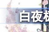 白夜极光加百利怎么样 白夜极光加百利评价及基本情报