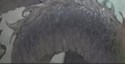 《鬼谷八荒》先天气运一览 全先天气运大全