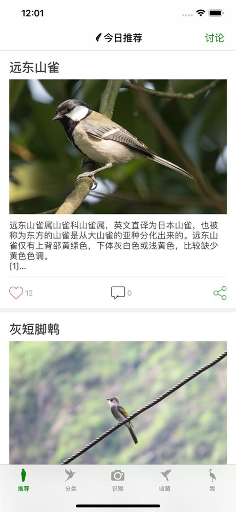 鸟-鸟类百科1.jpg