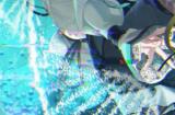 《终远的威尔修 EpiC:lycoris 》主要登场人物及可攻略角色介绍