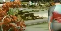 《星空》与《2077》水体AI等细节对比  2077略胜一筹
