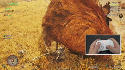 5.gif