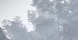 《颂钟长鸣》游戏苔藓资源在哪里获得