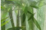 蜀山初章清梅耘丸材料获取攻略