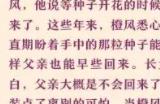 爆炒江湖橙风介绍