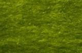 传闻：下一个《FIFA》游戏由2K打造