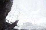 《战神:诸神黄昏》版本更新推送:提供“新游戏+”模式