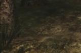 PC版《合金装备3：食蛇者》的MOD:加入“蹲伏行走”动作