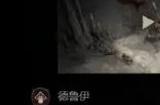 《暗黑破坏神4》新手选什么职业好 新手职业选择推荐