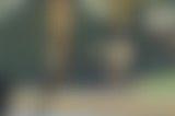 王国之泪莫力布林面罩怎么得 莫力布林面罩获取攻略