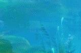 原神4.0什么时候更新 4.0上线时间是几月几号