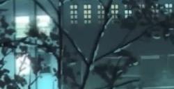 《动物狂想曲》最终季新PV发布 12月5日Netflix独播