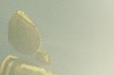 《幻唐志：洪荒现世》新赛季开启，百炼神兵助力少侠征战洪荒