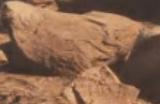 《剑星》废土全数据库道具获得方法介绍