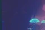 《泰西斯之潮》Steam页面上线