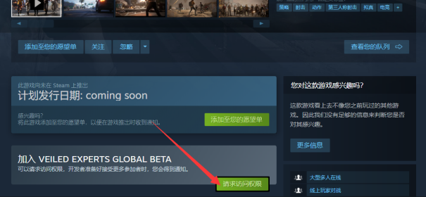 《VEILED EXPERTS》B测下载预约配置详解免费加速器推荐769.png