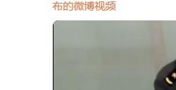 上海海关查获44块二手显卡当事人：准备翻新后出售