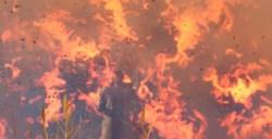 《夜莺传说》镍铸锭的属性增益是什么