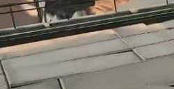 明日方舟终末地是什么类型的游戏 是开放世界游戏吗