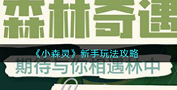 小森灵新手怎么玩  新手玩法攻略