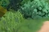 小森生活野炊锅怎么解锁