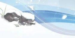《天下3》年终纪念礼盒“星罗棋布”将上线！
