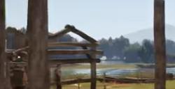 《颂钟长鸣》游戏硬木资源在哪里获得