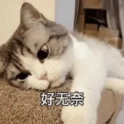 【产品向】无IP也能爆火！这款手游究竟有什么难以抵挡的魅力？-7.28(1)205.png