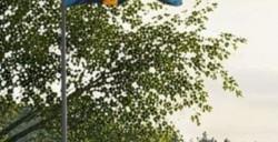 Steam瑞典游戏促销 近80种瑞典优秀游戏促销