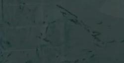 《暗喻幻想》全支持者效果一览