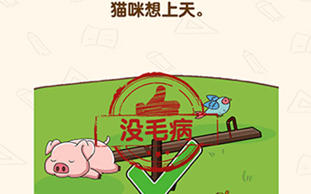 脑洞先生第162关攻略  猫咪想上天