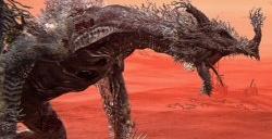 艾尔登法环地图按键在哪 地图按键介绍