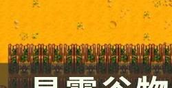 《星露谷物语》全成就怎么达成 全成就攻略