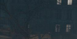 开发商证实：《匹诺曹的谎言》Steam试玩版9月5日截止