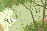《老农种树》领养荒山，种植树木，享受无所事事的快乐吧！